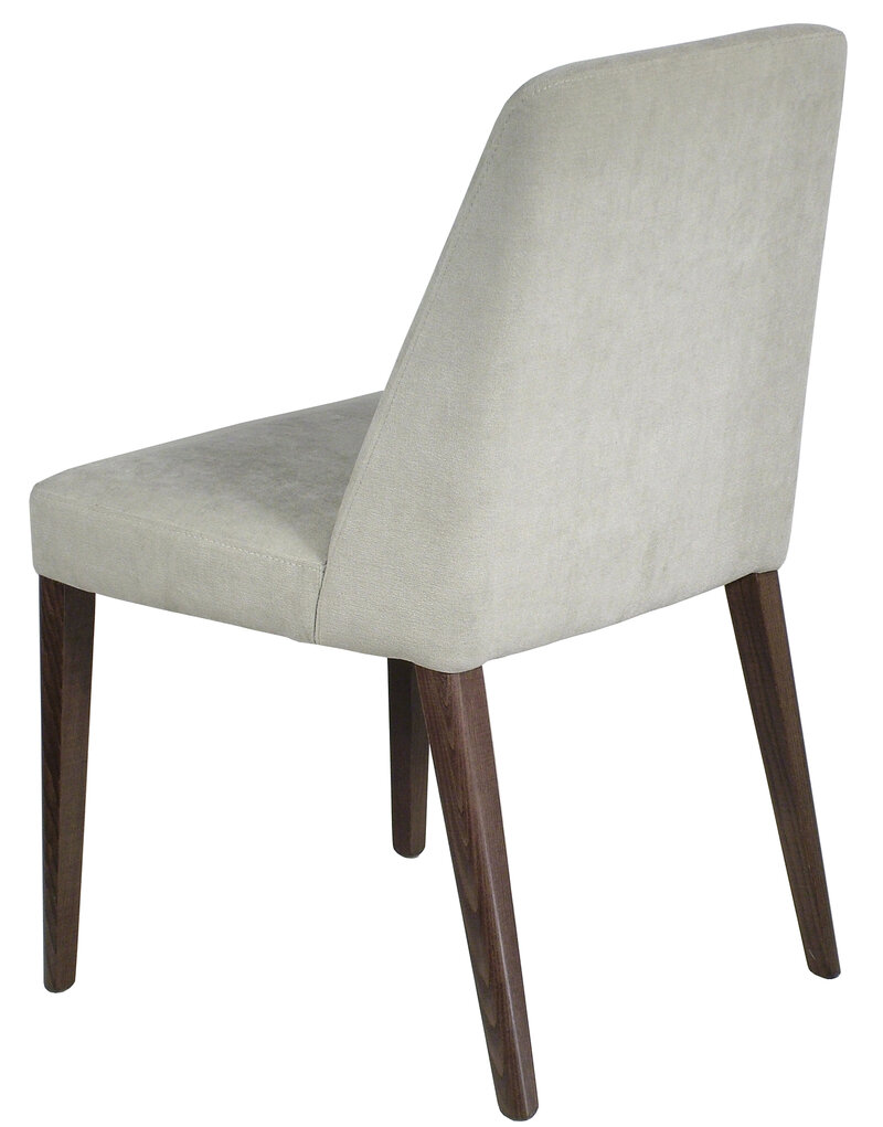 Busetto S054P Modern chair with solid beech or ash wood legs 2
