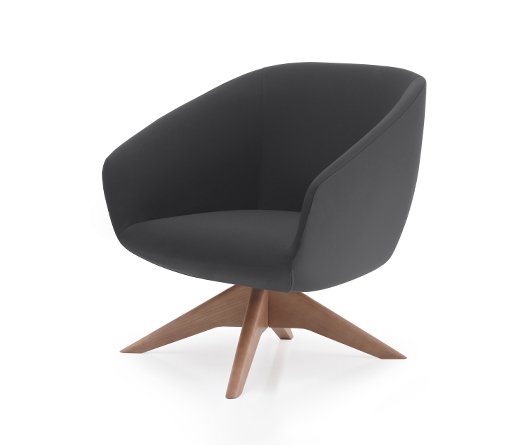 Busetto P263QG Modern lounge armchair with ash wood swivel base, available in a choice of finishes 1