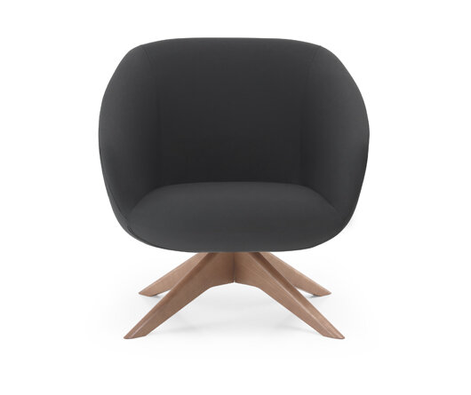 Busetto P263QG Modern lounge armchair with ash wood swivel base, available in a choice of finishes 2