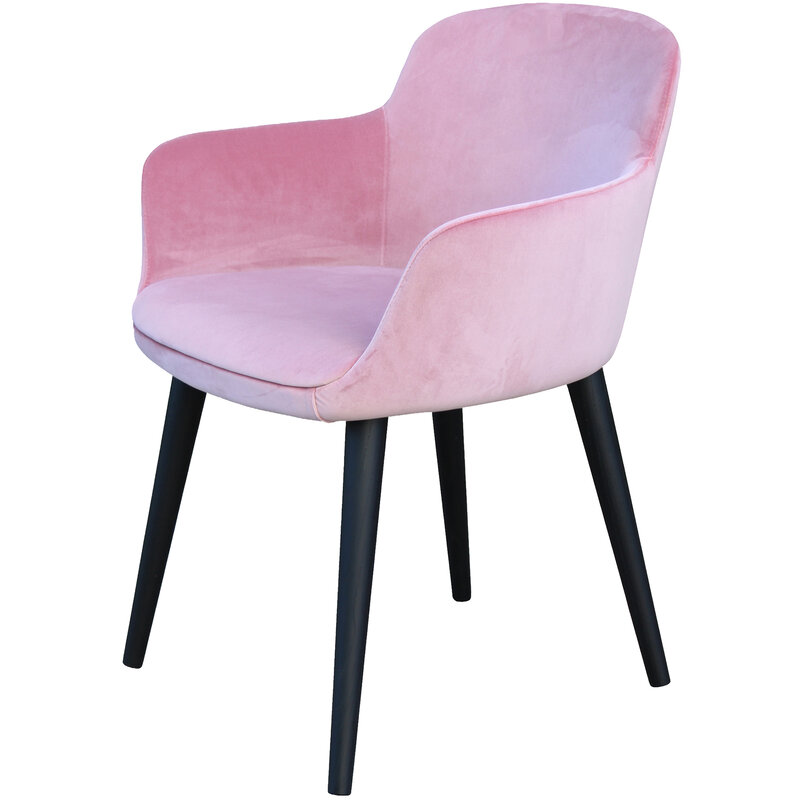 Busetto P259 Modern armchair with ash wood legs, available in a choice of finishes 1