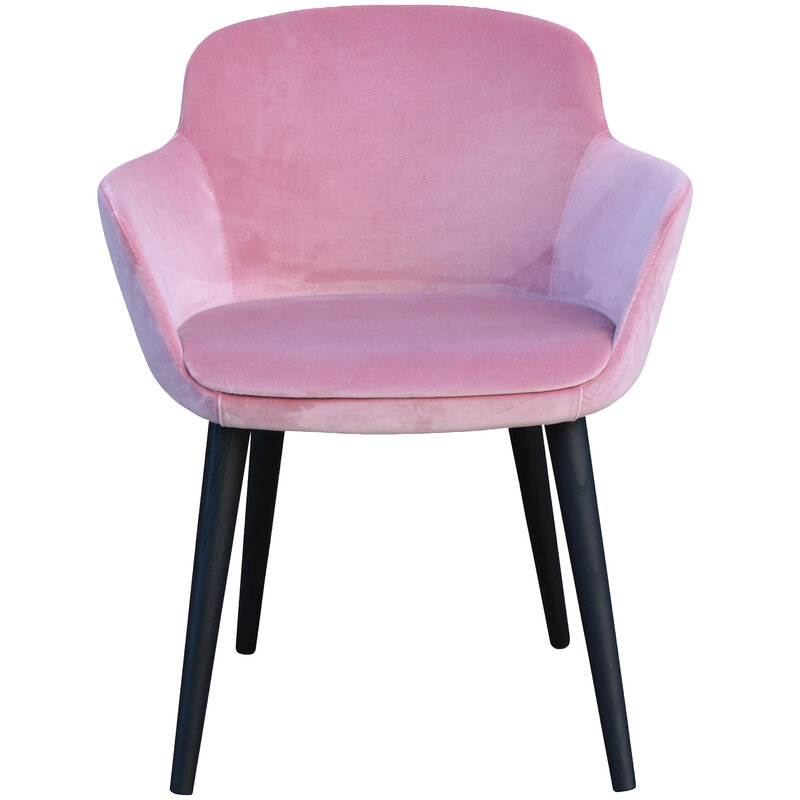 Busetto P259 Modern armchair with ash wood legs, available in a choice of finishes 2