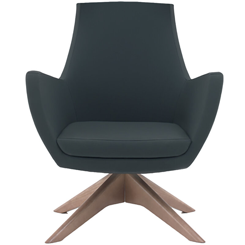 Busetto P282G Modern lounge armchair with ash wood swivel base, available in a choice of finishes 1
